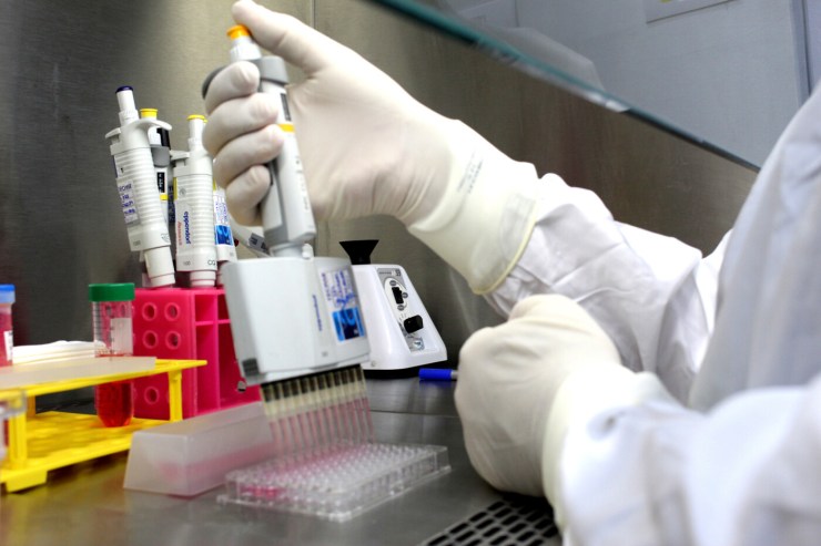 Com baixa carga viral, amostras de gripe aviária em Tocantins e Santa Catarina seguem sob investigação