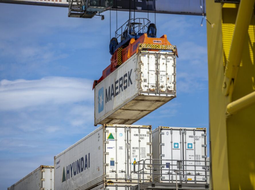 Com gripe aviária, Brasil pode deixar de exportar mais de R$ 1 bilhão em carne de frango por mês