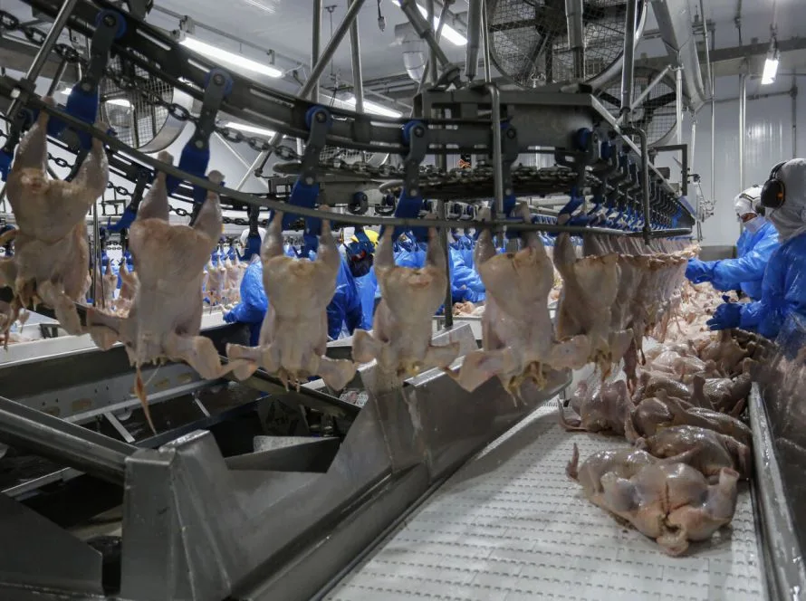 Exportações de carne de frango mantém estabilidade em abril