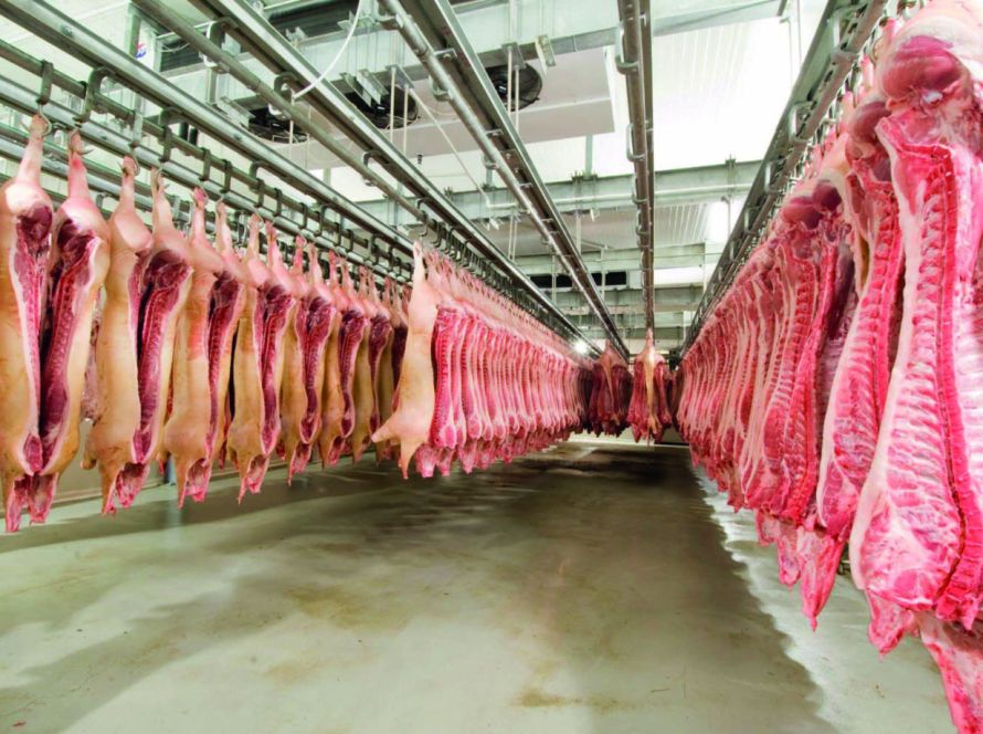 Exportações de carne suína crescem em abril e setor mantém curva positiva em 2025