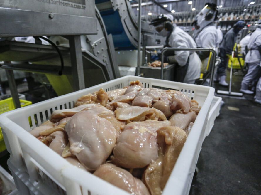 Gripe aviária trava exportações brasileiras: entenda por que países suspendem compra de frango