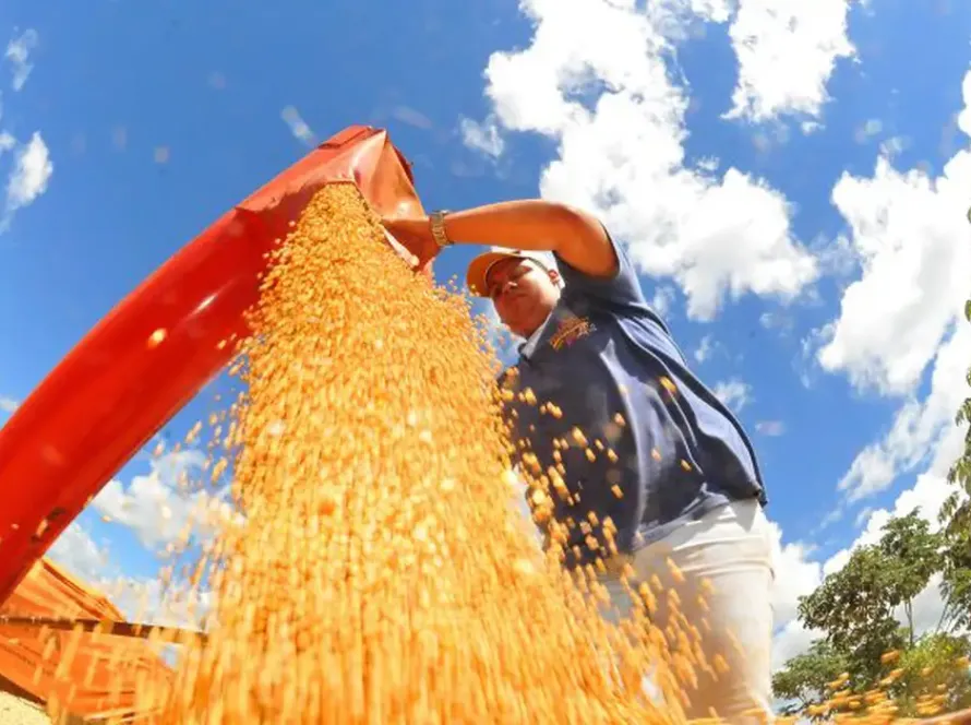 Preço da soja trava negociações em meio a cenário de oferta elevada e exportações firmes