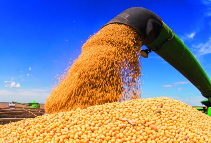 Preços internos da soja registram reação