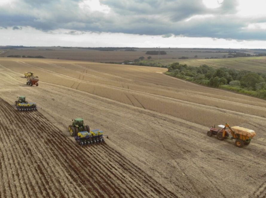 Vazio sanitário da soja no Paraná começa em junho