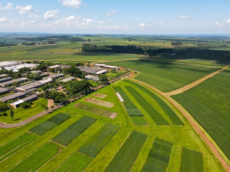 Workshop celebra 50 anos da Embrapa Soja