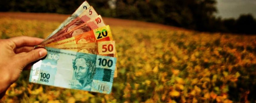 Aprosoja MT vê com preocupação cenário de endividamento no campo e defende medidas estruturantes