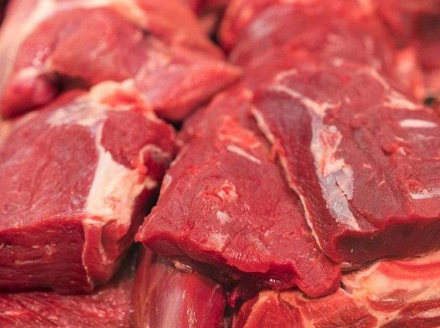 Carne bovina de MT atinge maior valor de exportação desde outubro de 2022