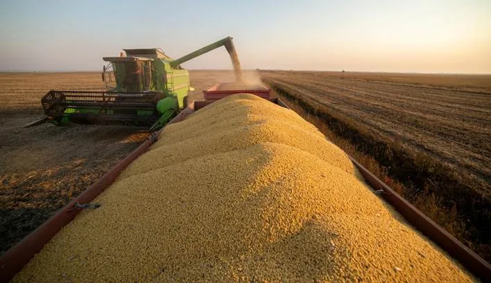 Desafio nacional de máxima produtividade de soja comprova boas práticas agrícolas