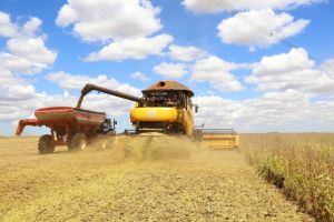 Epagri projeta cenário da safra de inverno e destaca tendências para o agro catarinense