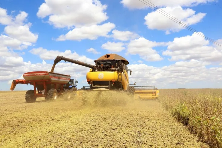 Epagri projeta cenário da safra de inverno e destaca tendências para o agro catarinense