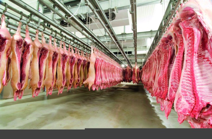 Exportações de carne suína crescem 13,7% em maio