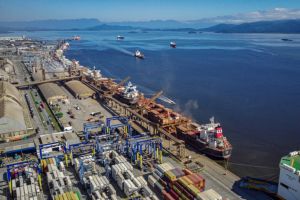 Exportações de ovos são recordes em maio