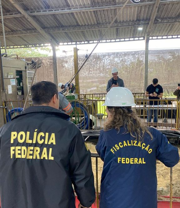 Farelo de soja adulterado com areia e serragem é apreendido no Porto de Paranaguá