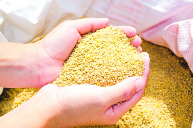 Farelo de soja apresenta queda diante de oferta robusta e esmagamento recorde