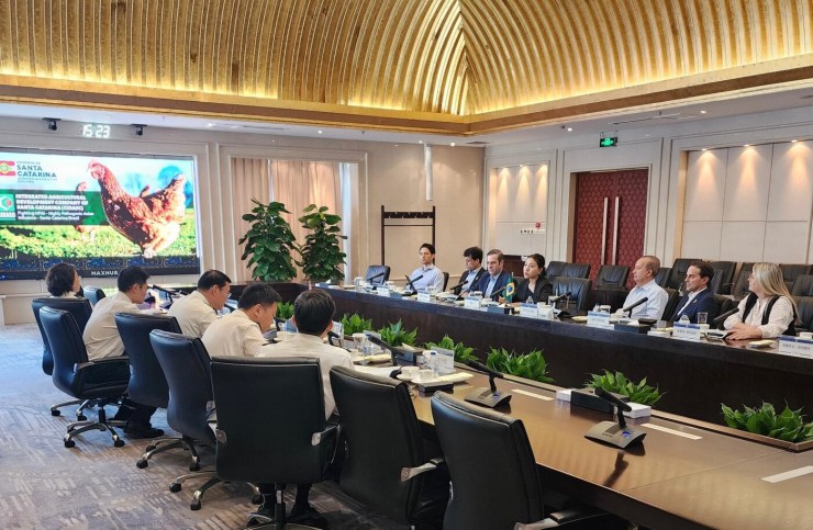 Governador Jorginho Mello solicita retomada das exportações de frango de Santa Catarina para a China