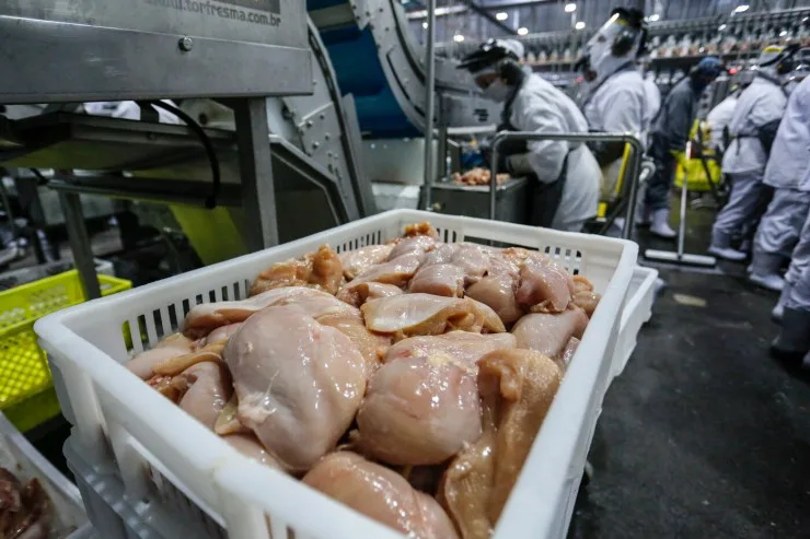 Mesmo com custos em queda, bloqueios às exportações mantêm pressão sobre preço do frango