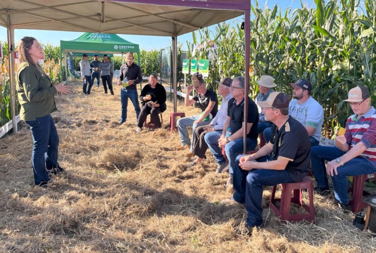 Primato realiza Dia de Campo Milho Safrinha com otimismo diante da maior safra da história