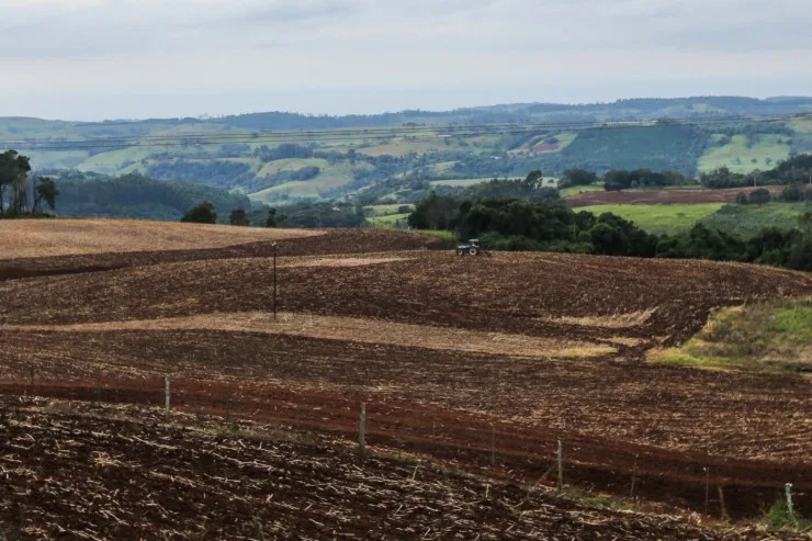 Produtores da região Sudoeste entram no vazio sanitário da soja, que vai até setembro