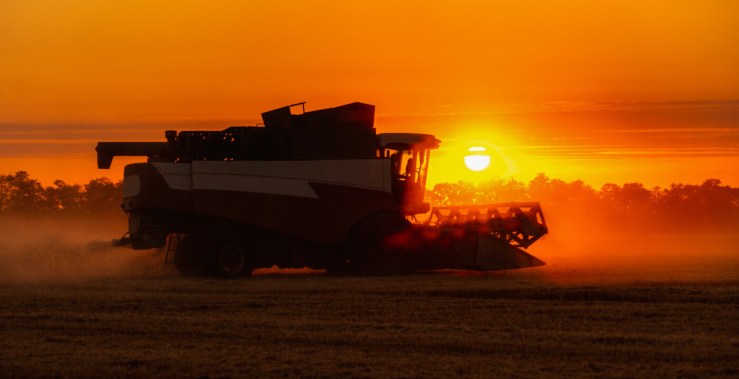 Safra de grãos em 2025 deve alcançar 332,6 milhões de toneladas, aponta IBGE