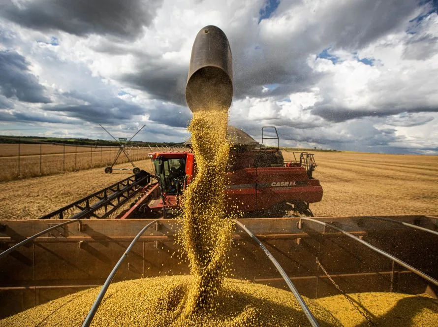 Safra de soja 2024/2025: produtividade média estadual foi de 51,78 sacas por hectare no Mato Grosso do Sul
