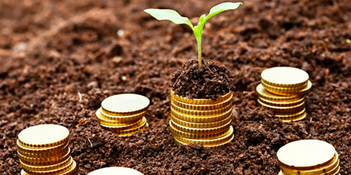 Senar-MT amplia assistência técnica em Nova Monte Verde com 15 novas propriedades de bovinocultura de corte