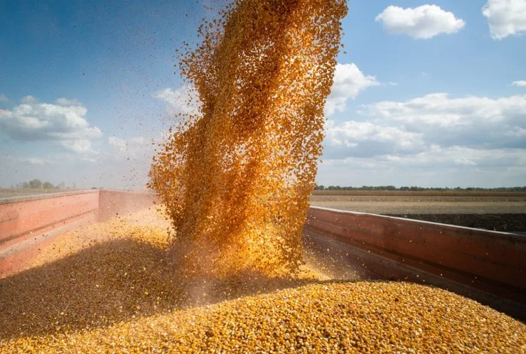 Soja consolida produção recorde em 168,25 mi toneladas; milho safrinha pode atingir 106,1 milhões toneladas