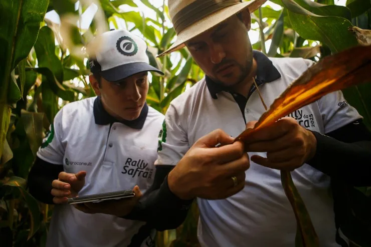 Técnicos do Rally da Safra avaliam milho segunda safra no Sul do Mato Grosso do Sul, Norte e Oeste do Paraná