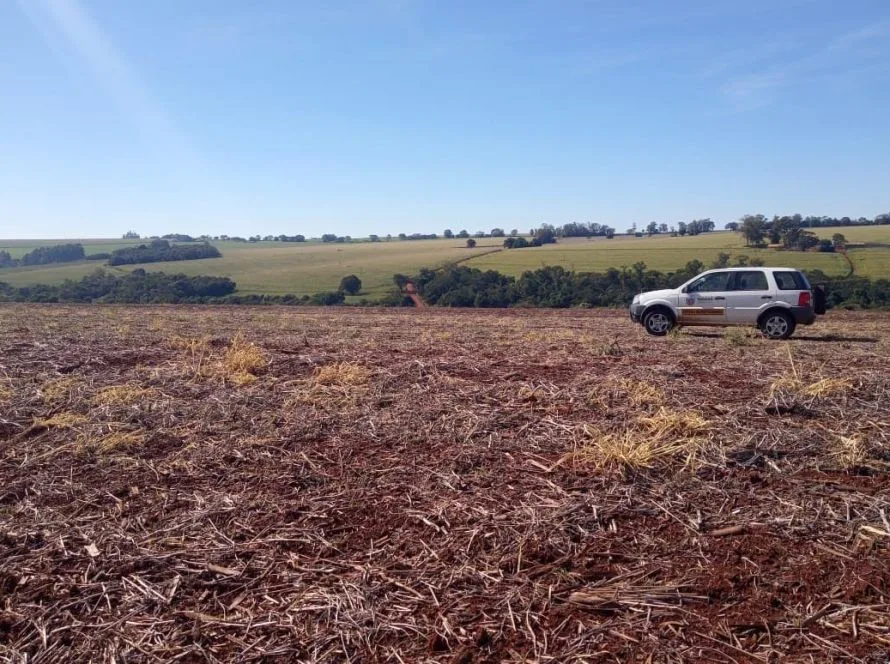Vazio sanitário da soja começa no dia 27 de junho em Goiás, informa a Agrodefesa