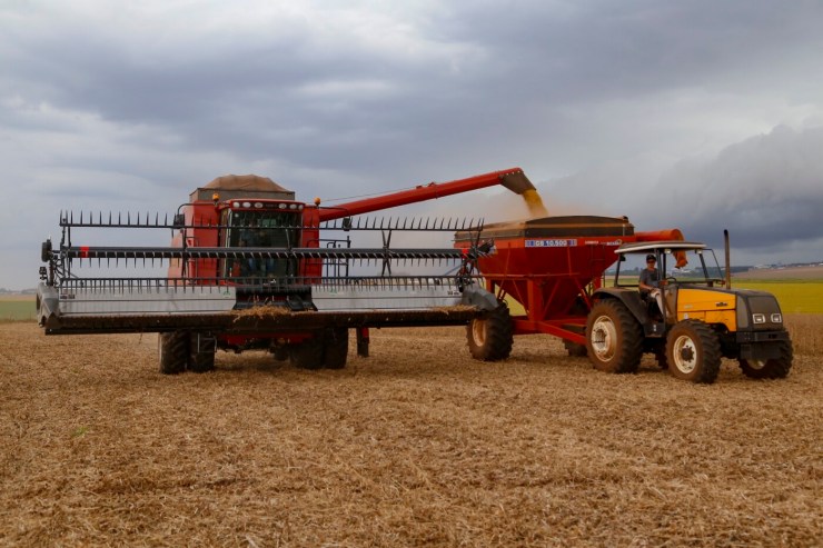 Vazio sanitário da soja inicia no Norte, Noroeste, Centro-Oeste e Oeste do Paraná