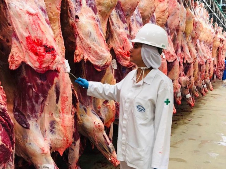 Além do tarifaço, privatização das inspeções agropecuárias ameaça exportações de carne