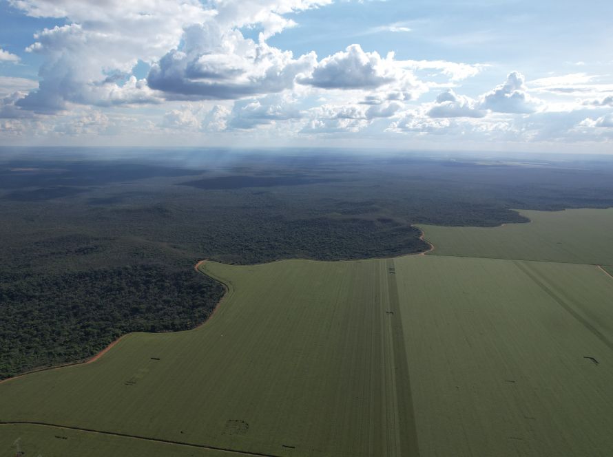 Aprosoja MT reconhece protagonismo de produtores rurais na proteção às florestas durante a estiagem