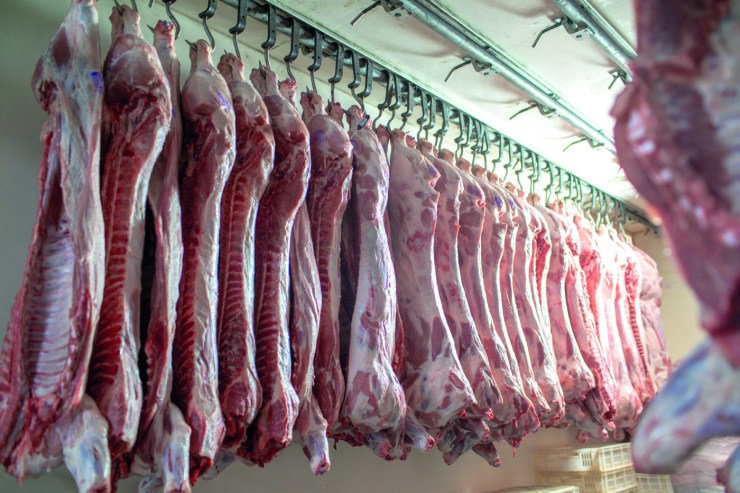 Exportações brasileiras de carne suína crescem 35% no 1º semestre e batem recordes históricos