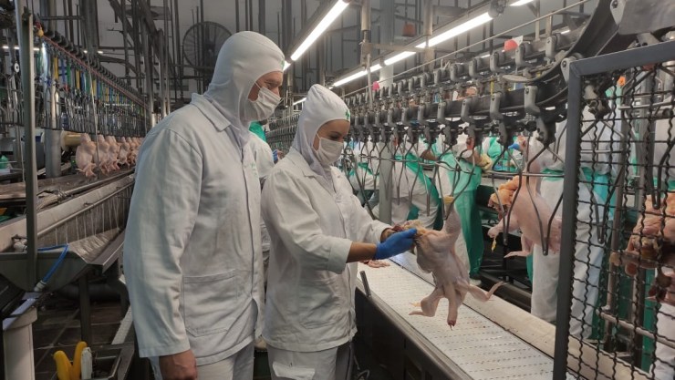 Governo de Goiás lança modelos de normativas para o Serviço de Inspeção Municipal de todo o estado