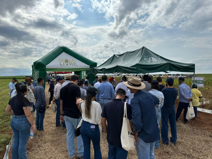 Instituto Soja Livre empossa nova diretoria com desafio de fortalecer cadeia não-OGM