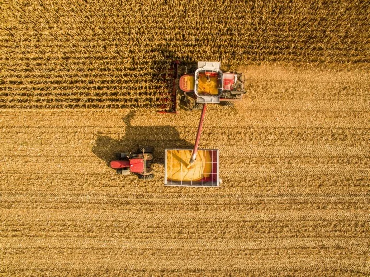 Juros disparam no Plano Safra 2025/26 e produtor rural enfrenta maior custo da história