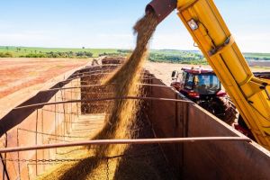 Logística e propriedade intelectual da soja no Mercosul em debate no Mercosoja 2025