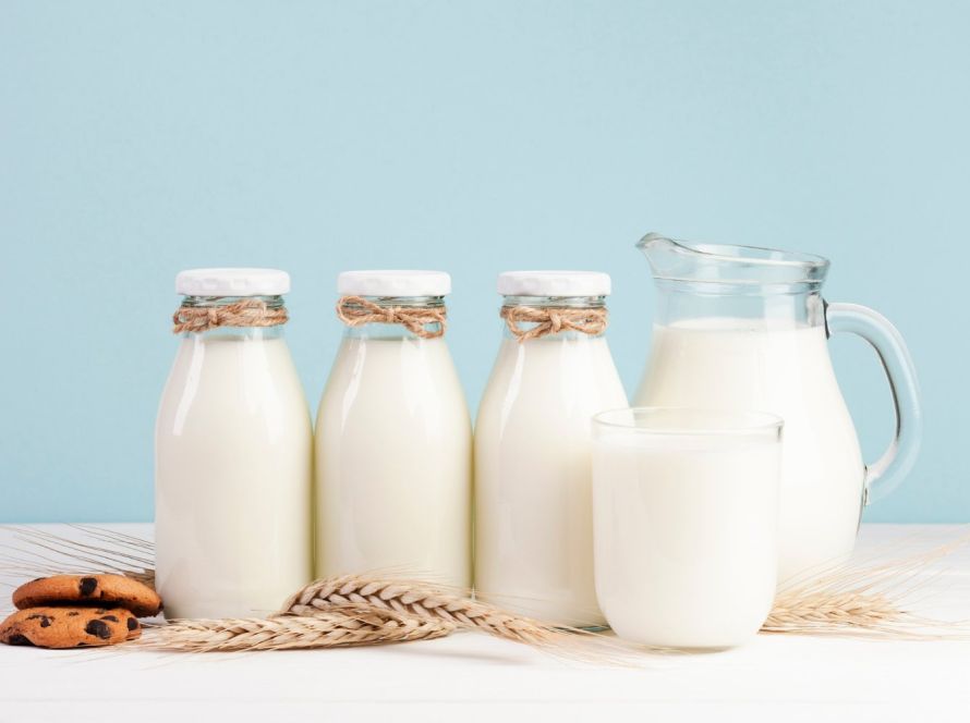 Muçarela lidera transformação da cadeia leiteira em Mato Grosso