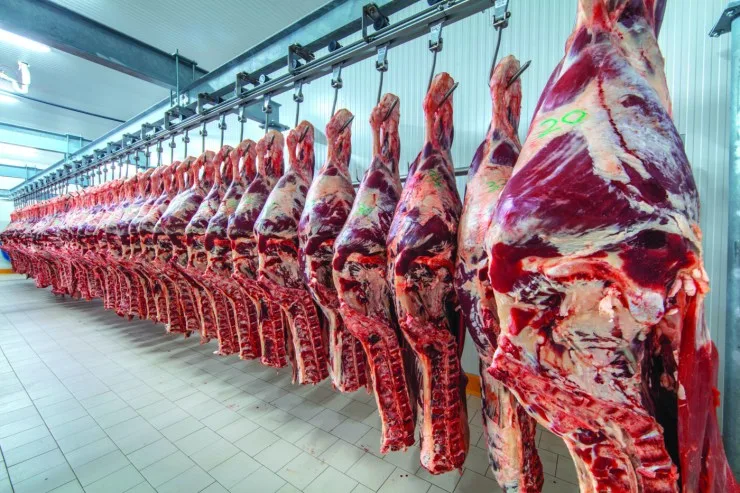 Nova tarifa torna inviável exportação de carne bovina brasileira aos EUA, diz Abiec
