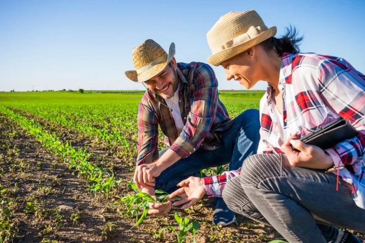 Plano Safra da agricultura familiar mira alimentos mais baratos na mesa do brasileiro