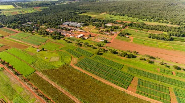 Plano Safra deve ter R$ 250 bilhões garantidos por lei todos os anos