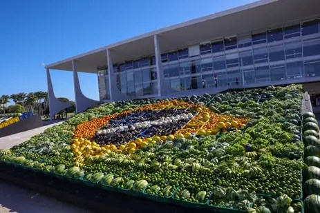 Plano Safra injeta R$ 89 bilhões na agricultura familiar e mira produção sustentável