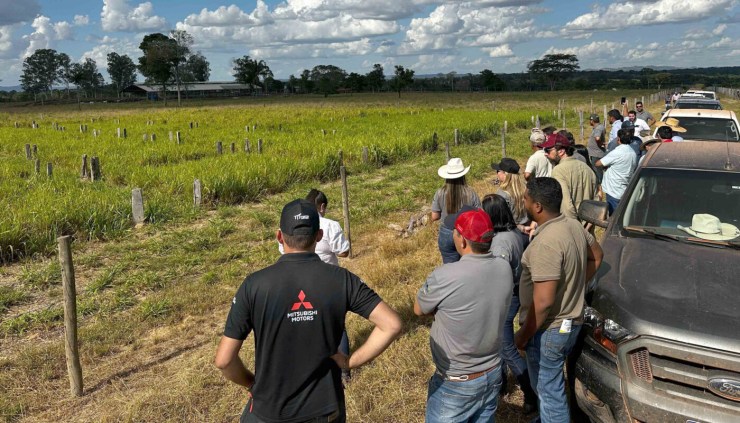 Rota da Pecuária impulsiona adoção de tecnologias sustentáveis na bovinocultura de Tocantins