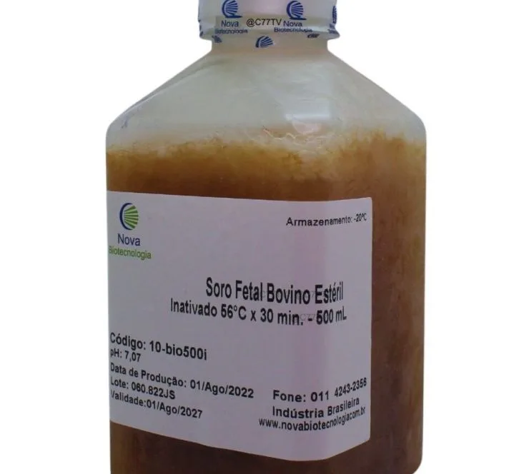 Brasil conquista autorização para exportar soro fetal bovino à União Econômica Euroasiática