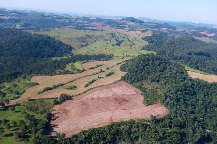 Cade suspende Moratória da Soja e organizações sociais reagem