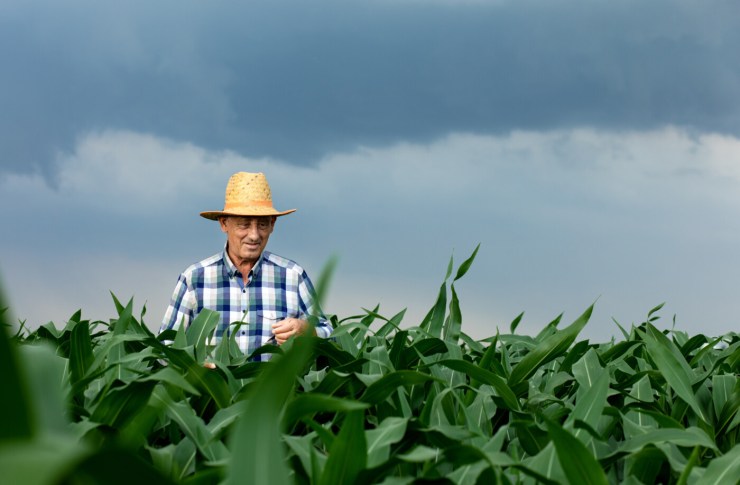 Clima divide resultados entre Brasil e EUA