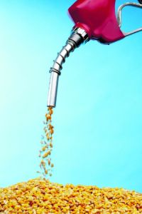 Como o etanol de milho de segunda safra contribui para a otimização do uso da terra no Brasil?