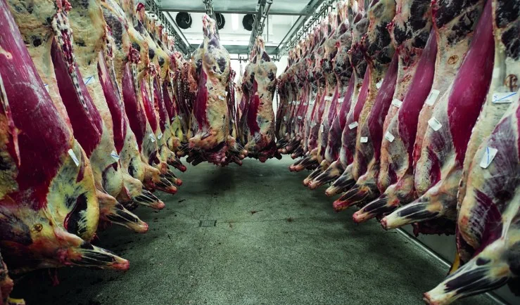 Exportação de carne bovina bate recorde em mês anterior ao tarifaço