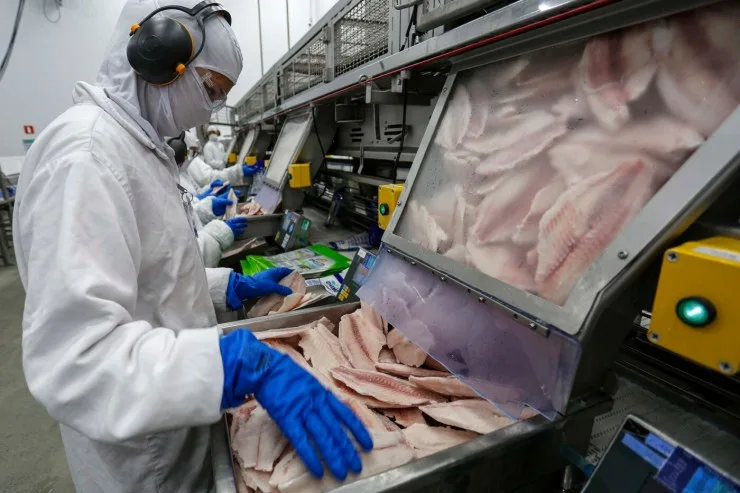 Exportações da piscicultura brasileira crescem 52% no primeiro semestre