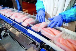Exportações de frango avançam mesmo com embargos