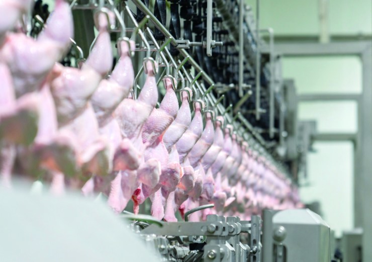 Exportações reagem e freiam queda no preço da carne de frango